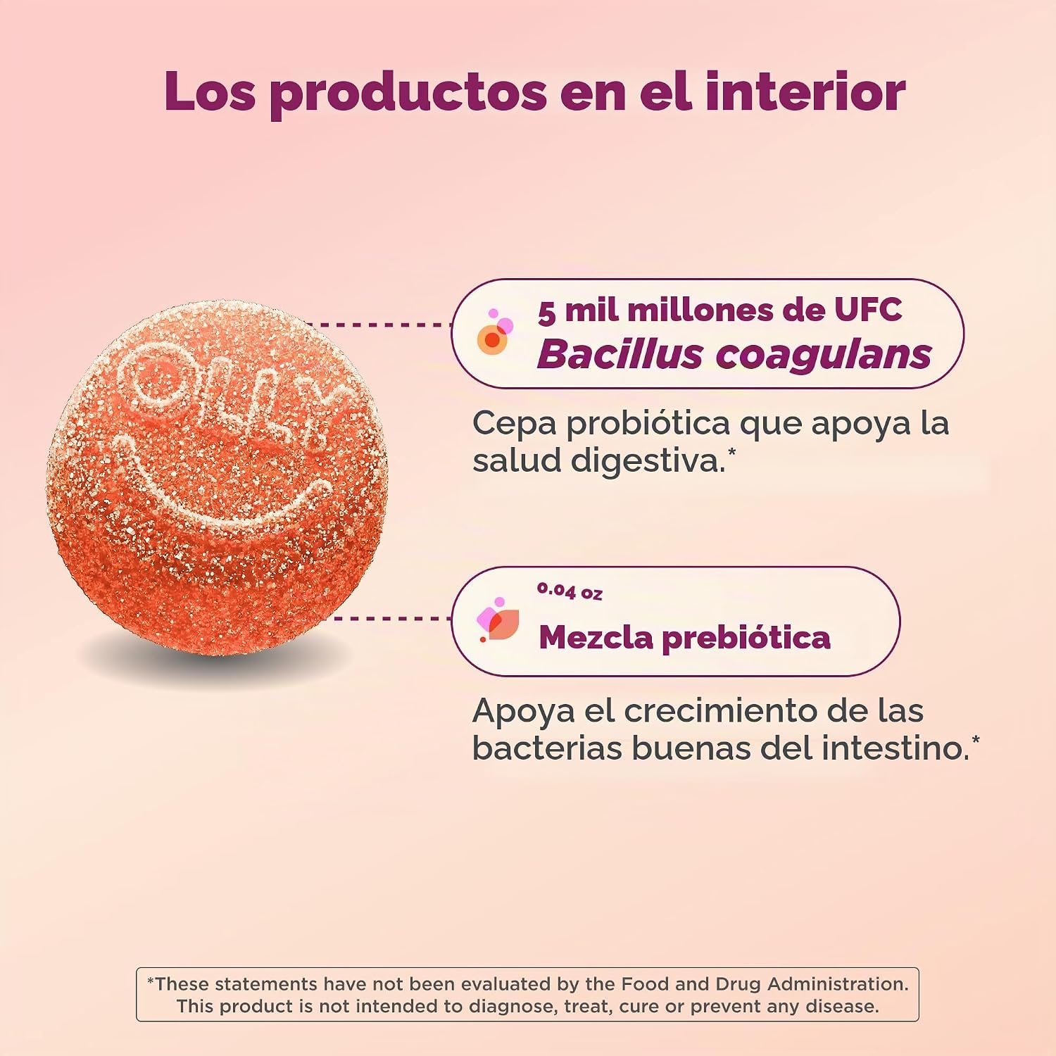 OLLY Probiotic + Prebiotic Gummies | Salud Digestiva y Equilibrio Intestinal - Image 2